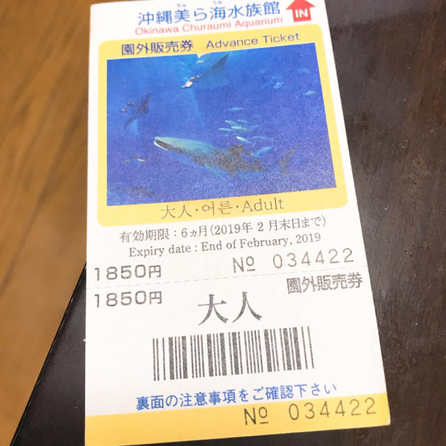 超人気新品 沖縄美ら海水族館の入館チケット savingssafari.com