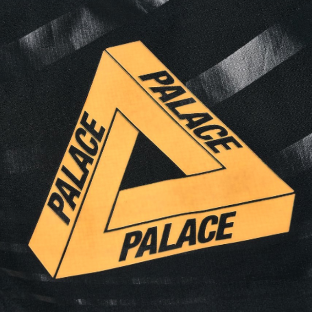 PALACE GORE-TEX VORTEX JACKET