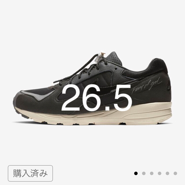 NIKE(ナイキ)のAIR SKYLON 2 Fear of God メンズの靴/シューズ(スニーカー)の商品写真