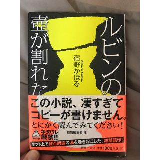 ルビンの壺が割れた(文学/小説)