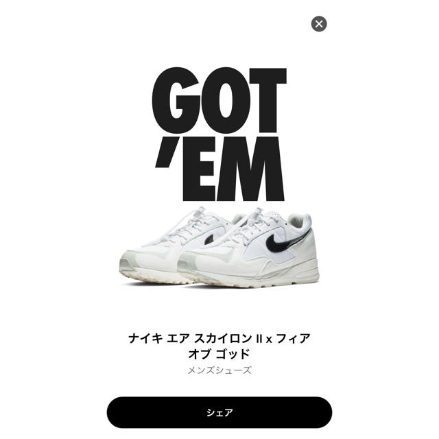 FEAR OF GOD(フィアオブゴッド)のnike fear of god エアスカイロン メンズの靴/シューズ(スニーカー)の商品写真