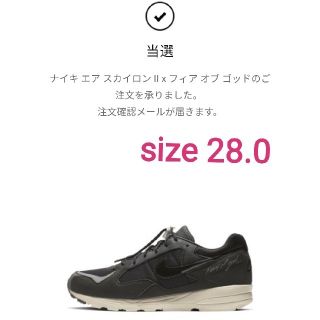 フィアオブゴッド(FEAR OF GOD)の【28.0】NIKE　エアスカイロン　FOG(スニーカー)