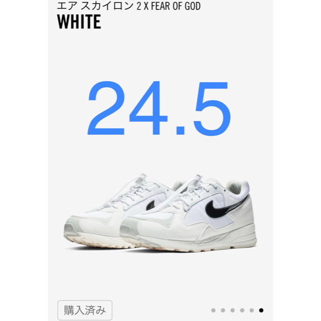 NIKE X FEAR OF GOD AIR SKYLON II 24.5センチ