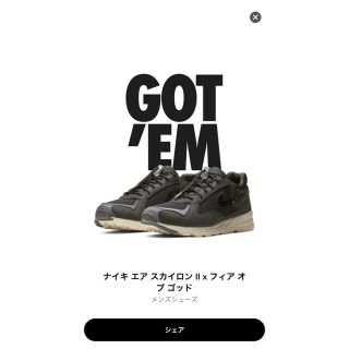 フィアオブゴッド(FEAR OF GOD)のフィアオブゴッド スカイロン / fear of god 27.0(スニーカー)