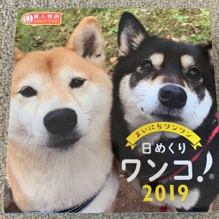 日めくりカレンダー 2019(カレンダー/スケジュール)