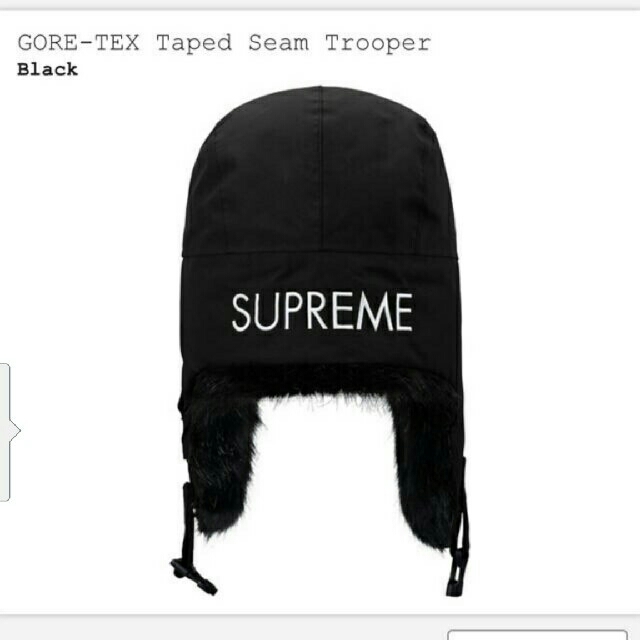 supreme Gore-tex taped trooper