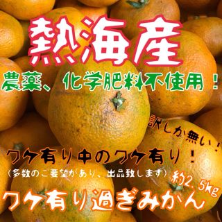 【熱海産♨無農薬】ワケ有り過ぎみかん 約2.5㎏(フルーツ)