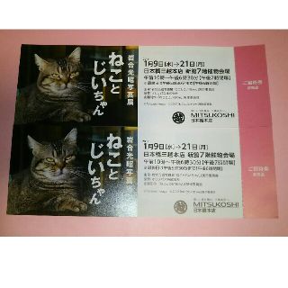 ねことじいちゃん  岩合光昭写真展(その他)