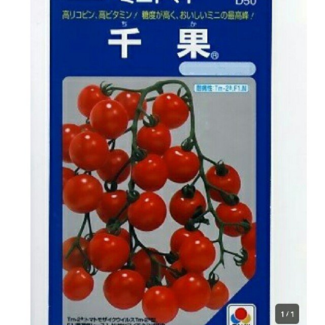 2018年ありがとう☆熊本県産ミニトマト約1.8㎏(箱込2㎏) 食品/飲料/酒の食品(野菜)の商品写真