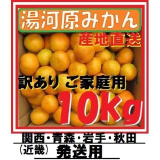 ひめこげ 様専用10㌔２箱🍊訳ありみかん☆発送 湯河原みかんご家庭用(フルーツ)