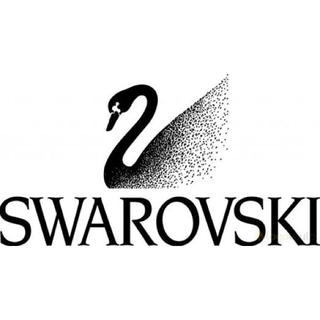 専用商品 SWAROVSKI ピアス バラ 1点(ピアス)