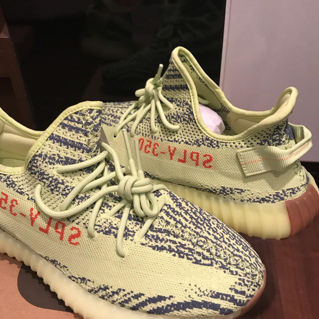 adidas(アディダス)の29cm YEEZY BOOST 350 V2 FROZEN YELLOW メンズの靴/シューズ(スニーカー)の商品写真