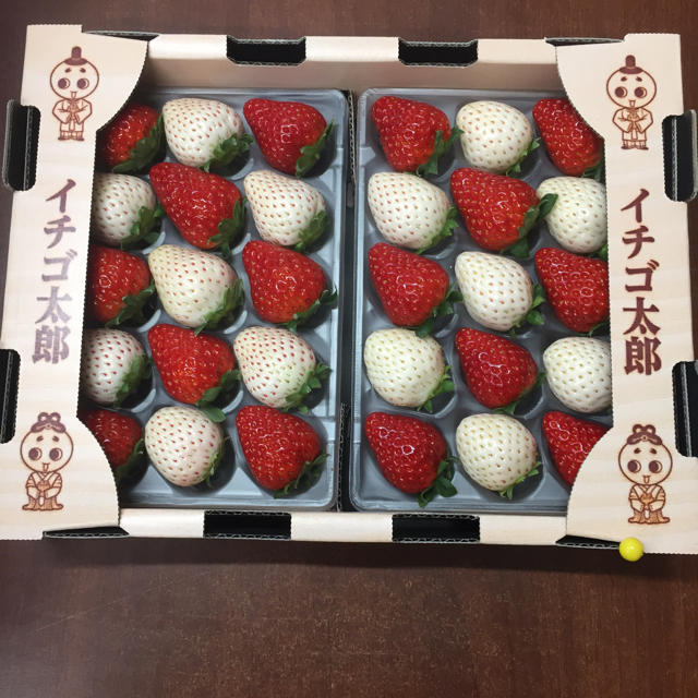 ののこ様専用ページ 奈良県産 紅白苺 詰め合わせset 食品/飲料/酒の食品(フルーツ)の商品写真