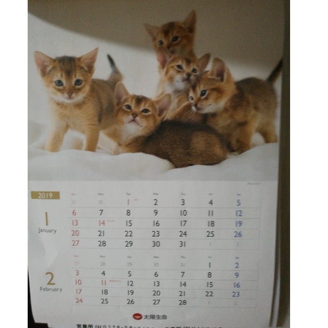 太陽生命　猫カレンダー インテリア/住まい/日用品の文房具(カレンダー/スケジュール)の商品写真