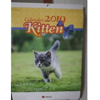 太陽生命　猫カレンダー(カレンダー/スケジュール)
