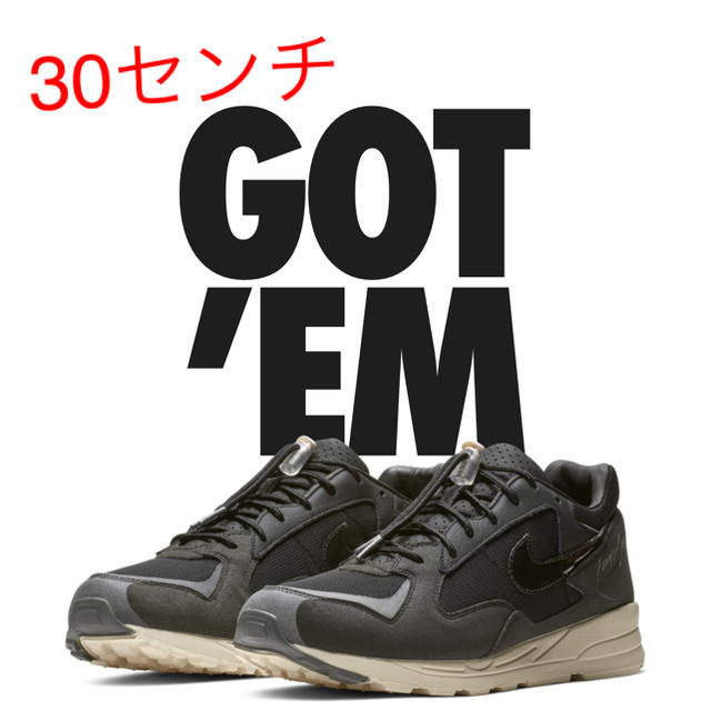 30cm FEAR OF GOD × NIKE AIR SKYLON 2メンズ