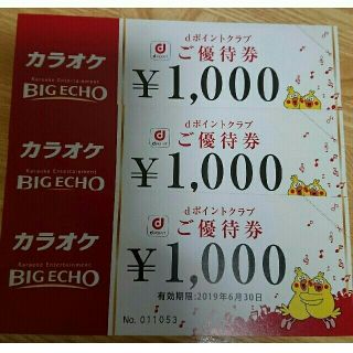 カラオケ　ビックエコー　ご優待券　3,000円分(その他)