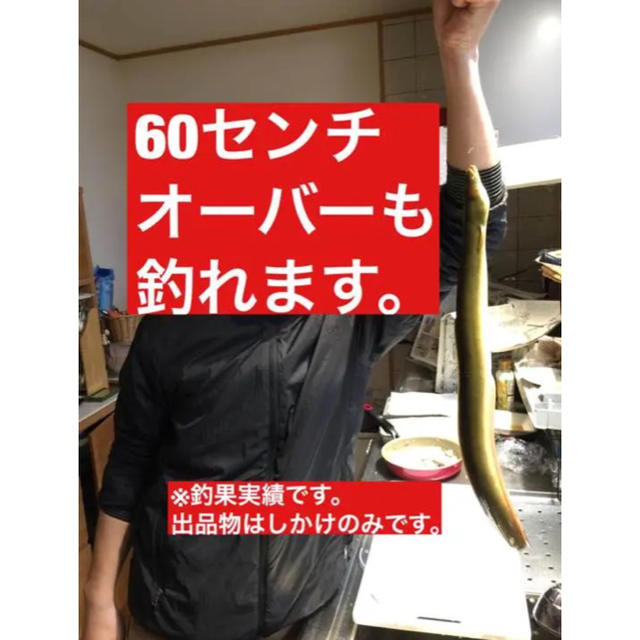 10セットうなぎ釣り 仕掛け 置き針 うなぎ仕掛け スポーツ/アウトドアのフィッシング(釣り糸/ライン)の商品写真