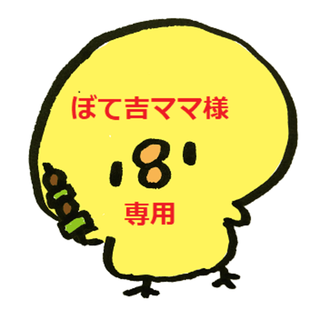鳥皮チップス　コンソメ2　ガーリックX2　各５０ｇ(菓子/デザート)