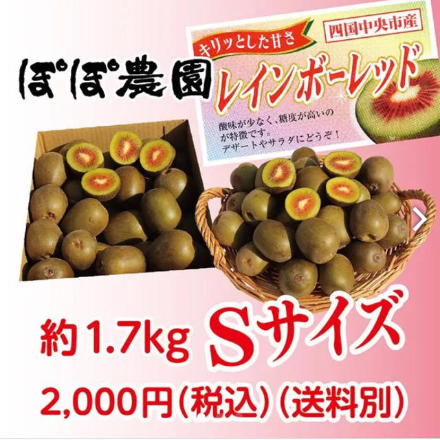 【1月1.2日発送】レインボーレッド キウイ 2Lサイズ 1.0kg 食品/飲料/酒の食品(フルーツ)の商品写真