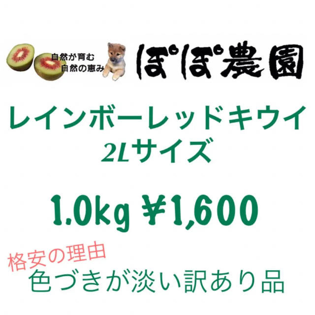 【1月1.2日発送】レインボーレッド キウイ 2Lサイズ 1.0kg 食品/飲料/酒の食品(フルーツ)の商品写真