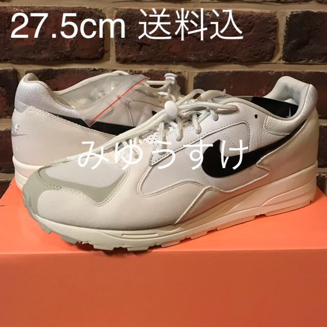 NIKE AIR SKYLON II FEAR OF GOD FOG 27.5