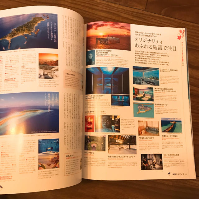 楽園モルディブ 2019 エンタメ/ホビーの本(地図/旅行ガイド)の商品写真