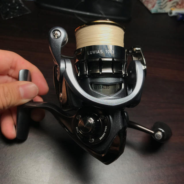 Daiwa 15 ルビアス 1003