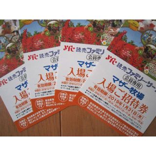 マザー牧場 入場 招待券４枚セット(動物園)