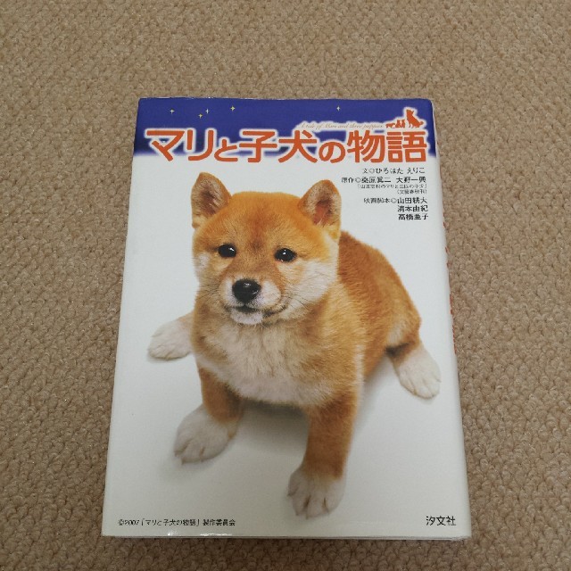 マリ と 子犬 の 物語 読書 感想 文 人気の画像をダウンロードする