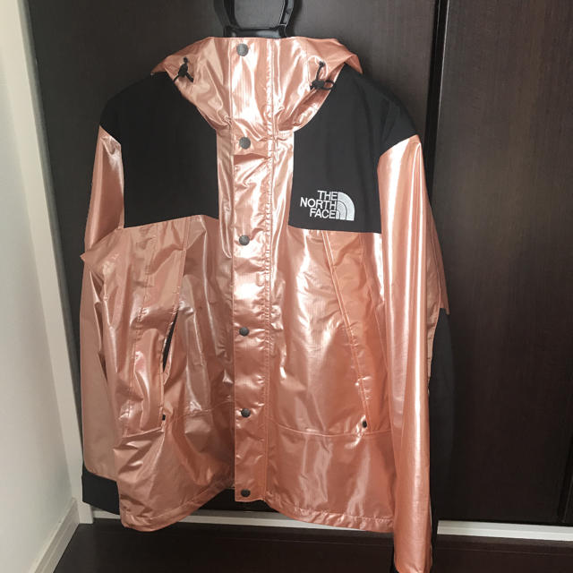 Supreme x The North Face Mountain Jacket