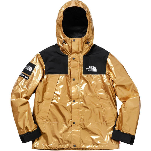 supreme the north face mountain jacket