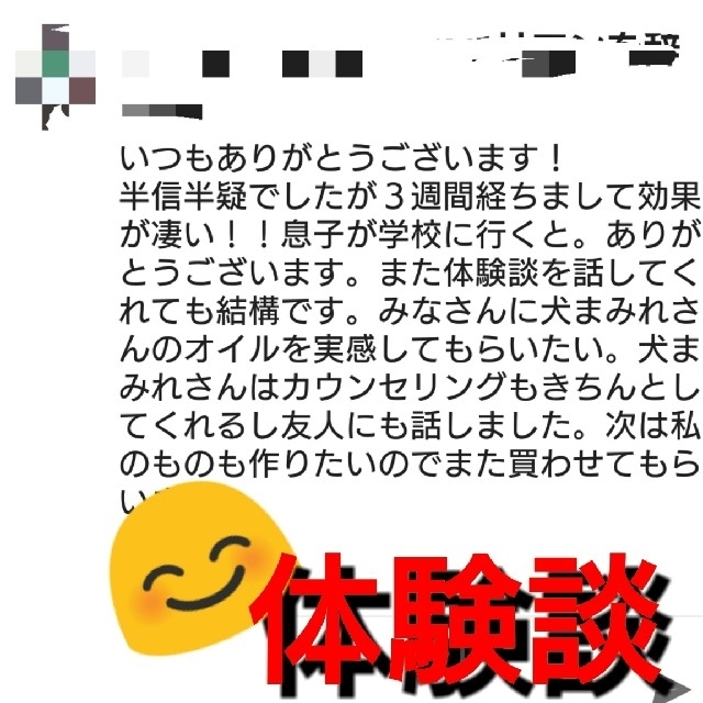 10mlお試しタイガーアイさざれ石入り【最強金運】メモリーオイル スプレー開運に コスメ/美容のリラクゼーション(アロマオイル)の商品写真