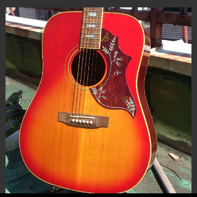 Greco(グレコ)のグレコ ハミングバード コピーモデル 70年代gibson仕様 楽器のギター(アコースティックギター)の商品写真