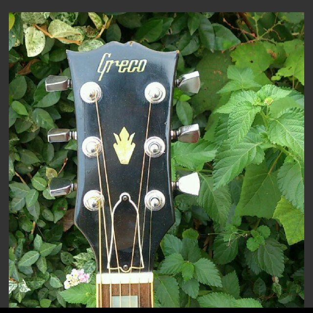 Greco(グレコ)のグレコ ハミングバード コピーモデル 70年代gibson仕様 楽器のギター(アコースティックギター)の商品写真