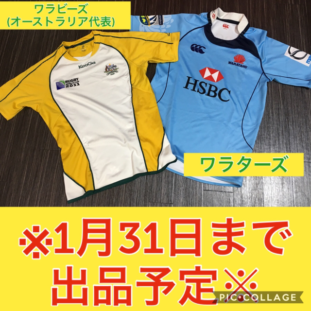 CANTERBURY(カンタベリー)のラグビー ジャージ ワラタス ワラビーズ スポーツ/アウトドアのスポーツ/アウトドア その他(ラグビー)の商品写真