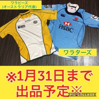 カンタベリー(CANTERBURY)のラグビー ジャージ ワラタス ワラビーズ(ラグビー)