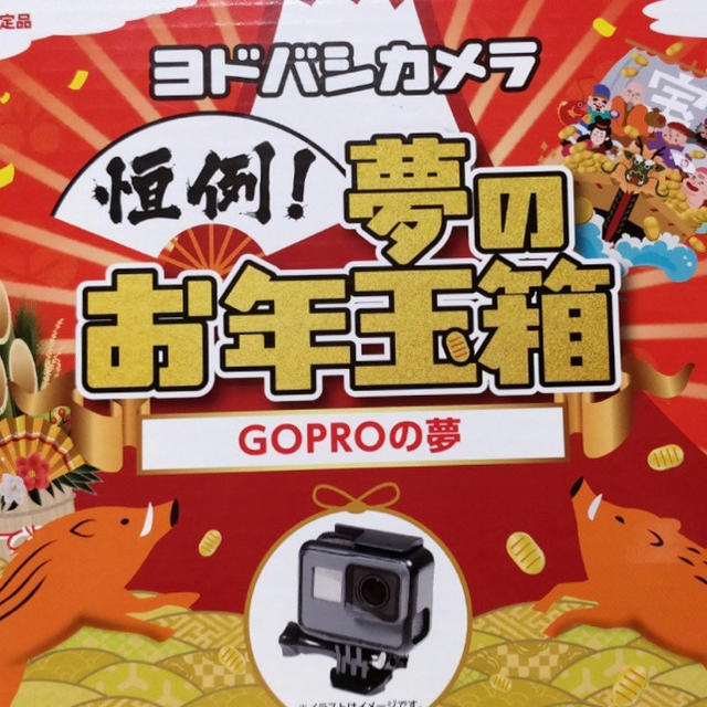 ヨドバシカメラ 2019 お年玉箱 GOPROの夢ビデオカメラ