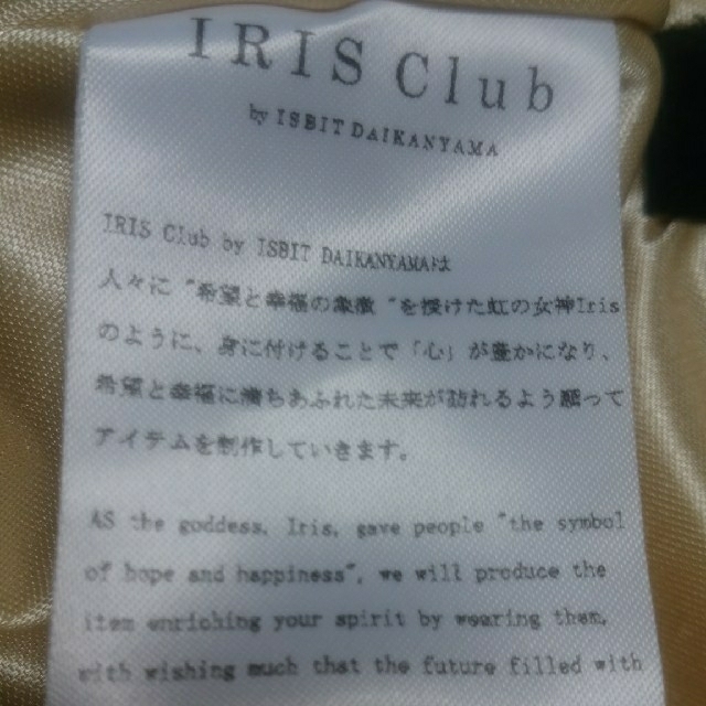 ISBIT(アイズビット)のチュールスカート　ISBIT  DAIKAN-YAMA レディースのスカート(ひざ丈スカート)の商品写真