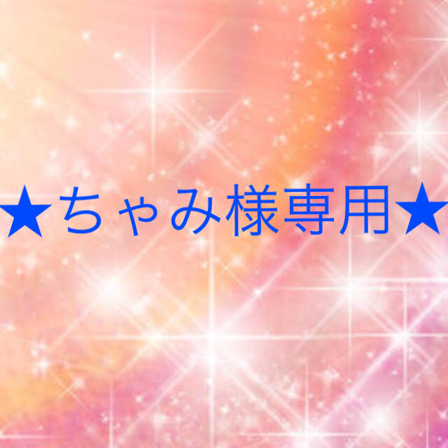 公式ショップ ちゃみ様専用