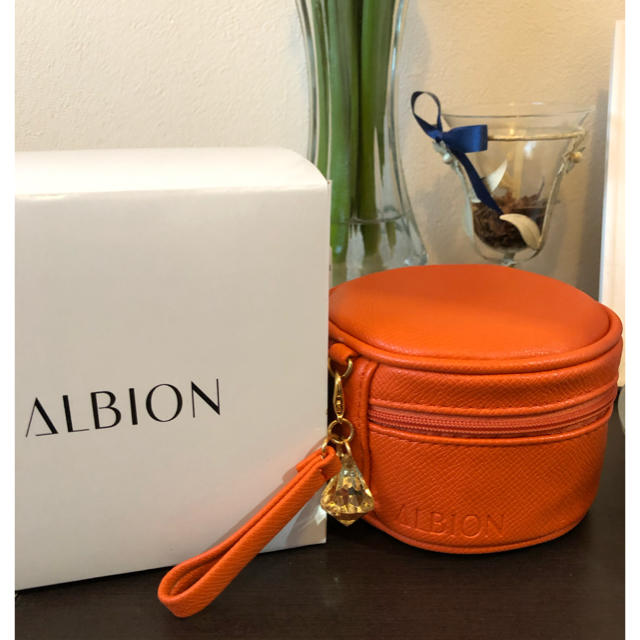 ALBION(アルビオン)のアルビオン ノベルティ 非売品 レディースのファッション小物(ポーチ)の商品写真