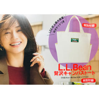 エルエルビーン(L.L.Bean)のLEE2019年1月号付録L.L.Beanダブルポケット付き贅沢キャンバストート(トートバッグ)