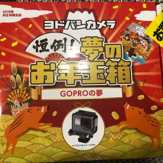 ゴープロ(GoPro)のヨドバシ 福袋 go proの夢 (ビデオカメラ)