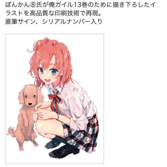 やはり俺の青春ラブコメはまちがっている プリマグラフィ-