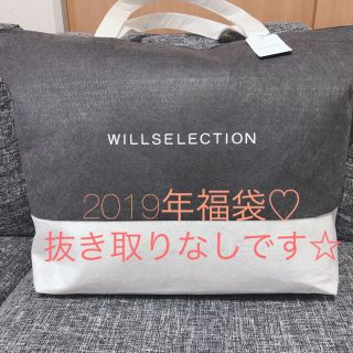 ウィルセレクション(WILLSELECTION)の【専用】WILLSELECTION ＊ 2019福袋(セット/コーデ)