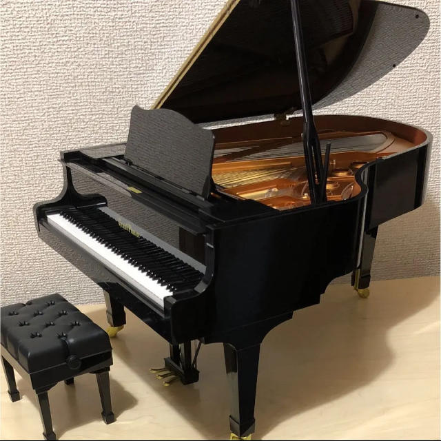 日本オーダー グランドピアニスト セガトイズ 楽器 | bca.edu.gr