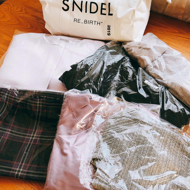 SNIDEL(スナイデル)のSNIDEL 2019 福袋 レディースのレディース その他(セット/コーデ)の商品写真