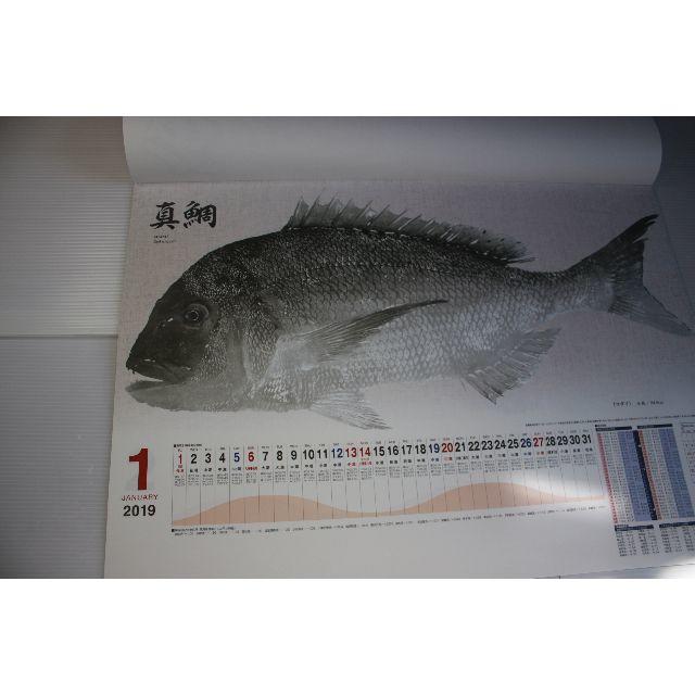 SHIMANO(シマノ)のちえちえしえん様専用平成31シマノ魚拓カレンダー釣具店名刷り込み無し1冊01 スポーツ/アウトドアのフィッシング(その他)の商品写真