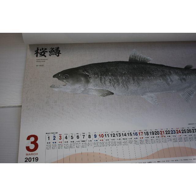 SHIMANO(シマノ)のちえちえしえん様専用平成31シマノ魚拓カレンダー釣具店名刷り込み無し1冊01 スポーツ/アウトドアのフィッシング(その他)の商品写真