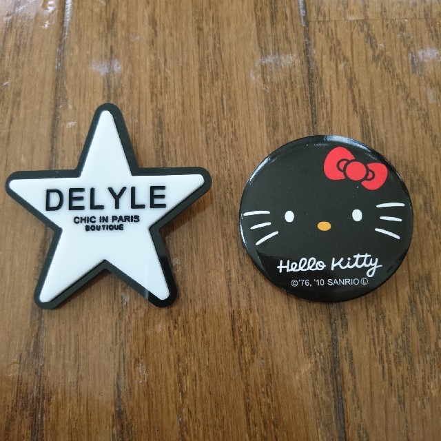 Delyle(デイライル)のDELYLE☆バッチ その他のその他(その他)の商品写真